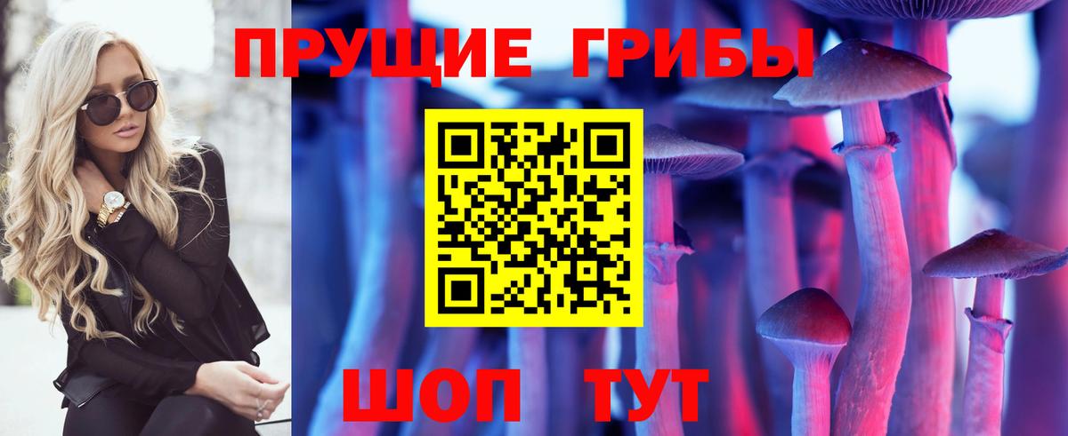 Ульяновск  купить   Вход с VPN  Галлюциногенные грибы ЛСД  Галлюциногенные грибы прущие грибы 